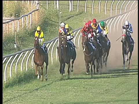 Galoppo 14/06/2017 - 6ª corsa