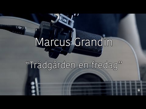 Marcus Grandin - Trädgården en fredag (Veronica Maggio cover)