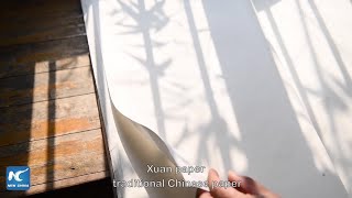 Download lagu Paper with life of one thousand years mp3 Download lagu Paper with life of one thousand years mp3