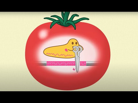 遺伝子組み換え生物 - 定義