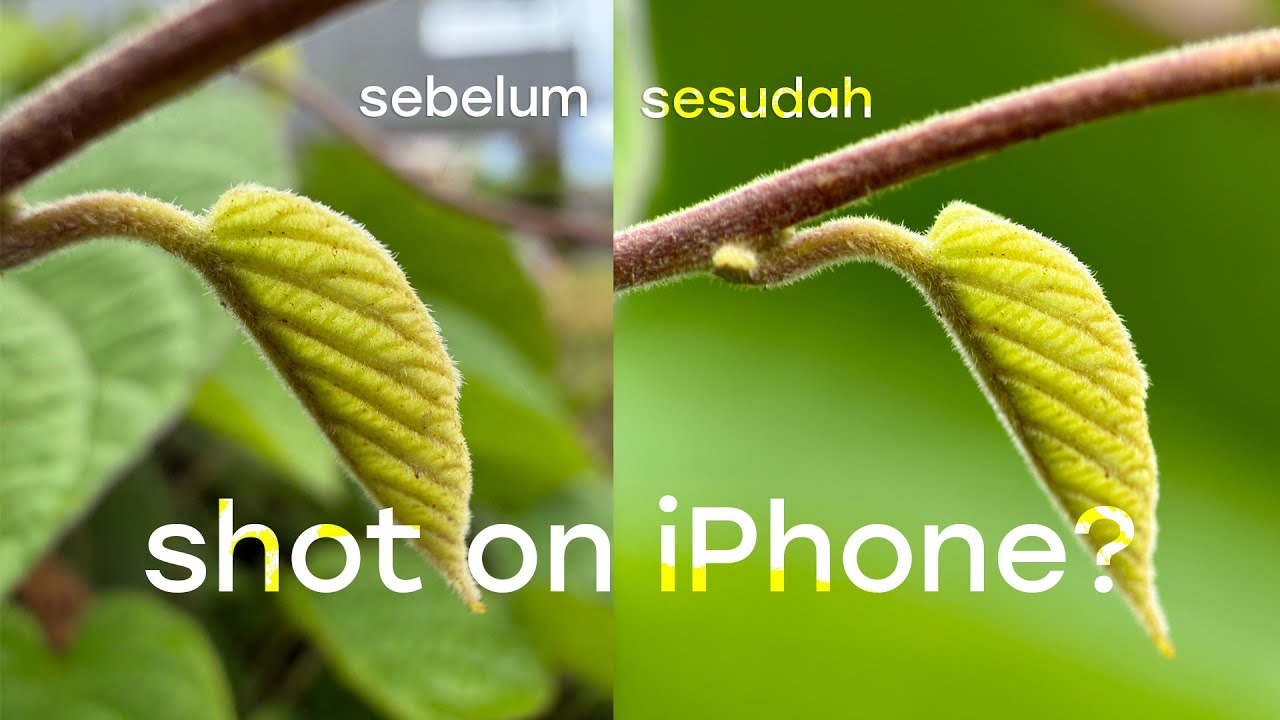 Meracik kamera terbaik di smartphone..