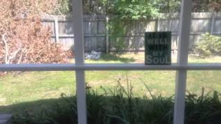 Cover of Jason Gray's "The Golden Boy and the Prodigal"