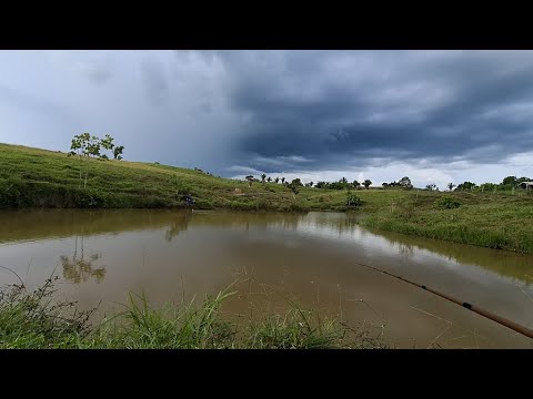 Pescaria de Tilápia e Tucunaré, Vale do Paraíso, RO!!! - T05 Ep63. #pesca #pescaria #pescaesportiva