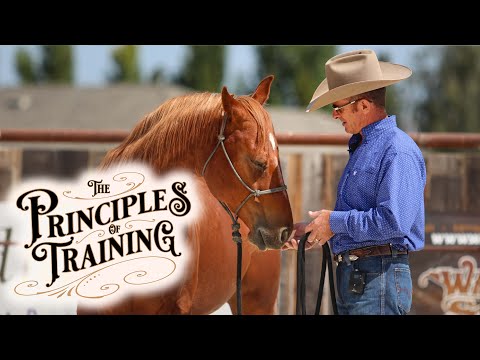 The Principles of Training Season 3 Episode 2: "Stress Indicators"