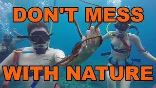 Don&#39;t Mess With Nature Compilation