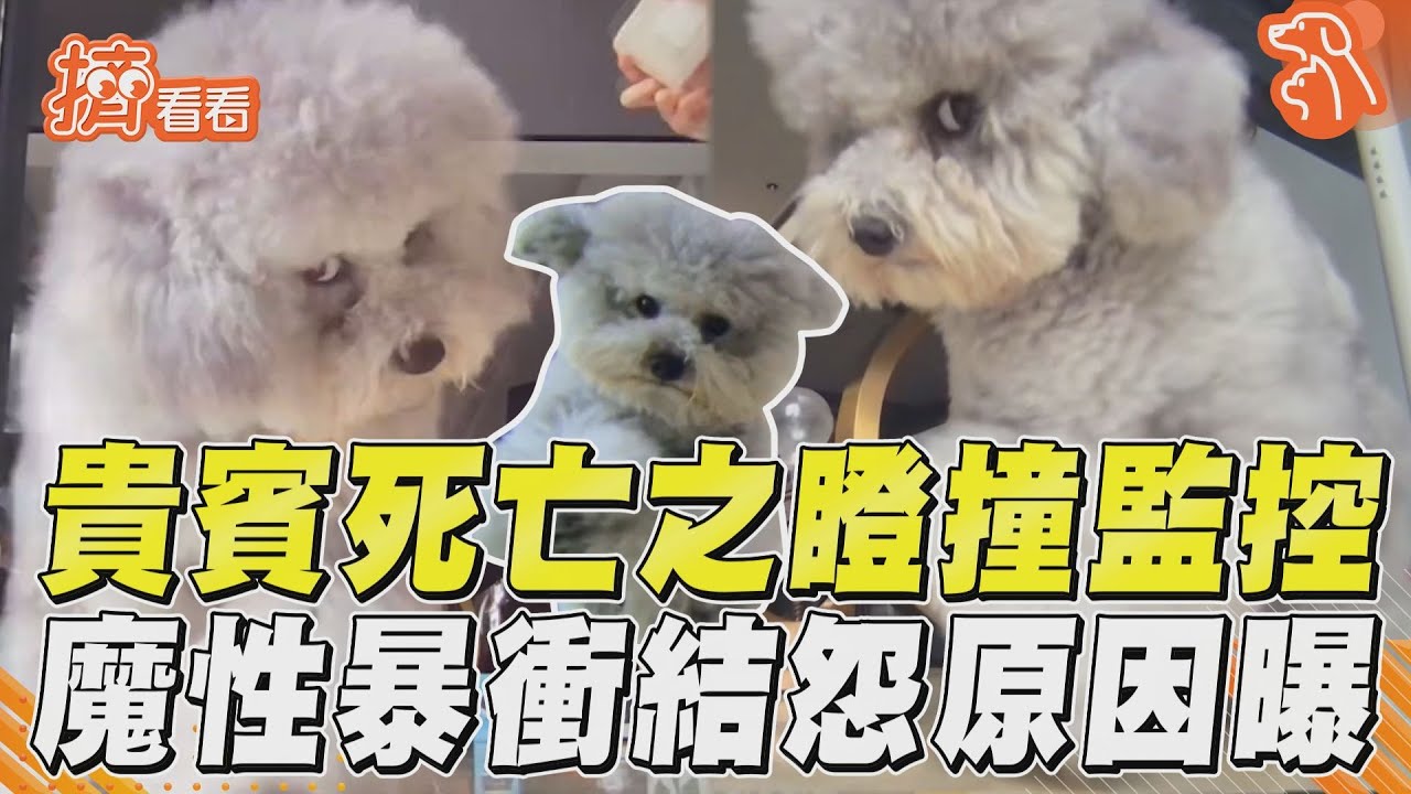 影音/灰貴賓死亡之瞪撞監控 魔性暴衝結怨原因曝光