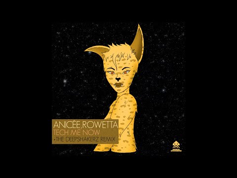 Anicée, Rowetta - Tech Me Now (Deepshakerz Remix) (SPACEINVADERS51)