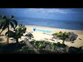 Tropical Beach Logo Reveal