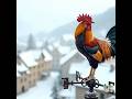 The Gallic Rooster – Symbol of France’s Spirit #birds #shots #animals #france