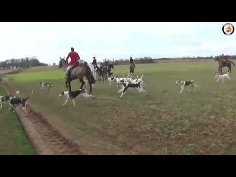 Sab hears holler 12 02 2022