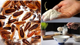 How To Get Rid Of Cockroaches In Kitchen Cabinets – Keep Away Small German Roach Infestation Natural