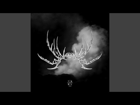 THE VOID (Ultra Slowed)