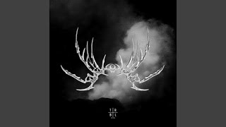 THE VOID (Ultra Slowed)