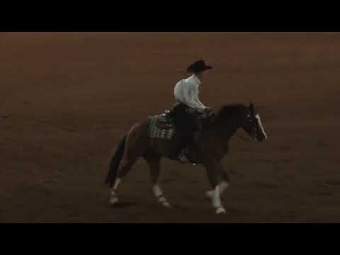 181012 NP Futurity Ronny Colston on A Dandy Ganslinger