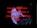 Jungle Brothers - What U Waitin 4 (Jungle Fever ...