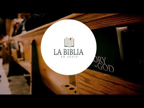 📖🔊ISAÍAS: 9/ 10 /11/ 12/🔊LA BIBLIA EN AUDIO🔊REINA VALERA 1960🔊🎶