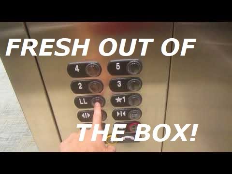 BRAND NEW! ThyssenKrupp Synergy (MRL) traction elevator #2 & #3 at the NEW CoB building UNL