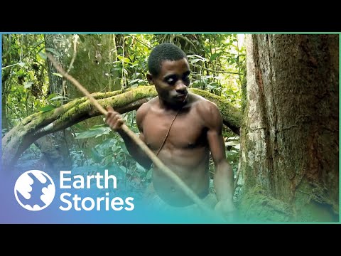 How The World's Most Remote Tribes Hunt | Man Hunt (Compilation)