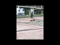 Dallas News Anchor Demetria Obilor Tries Out A New Motor Scooters But She Was The Main Attraction