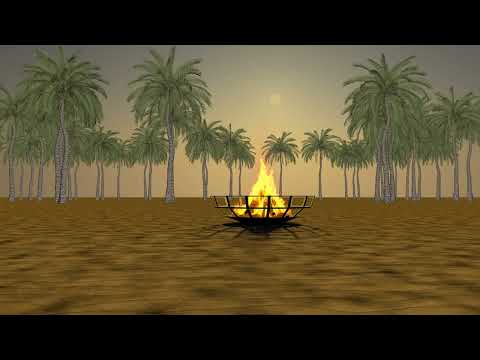 Outdoor fire pit on brown sand with palm trees - Relaxing ambience