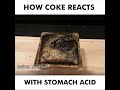 How Coke Reacts To Stomach Acid