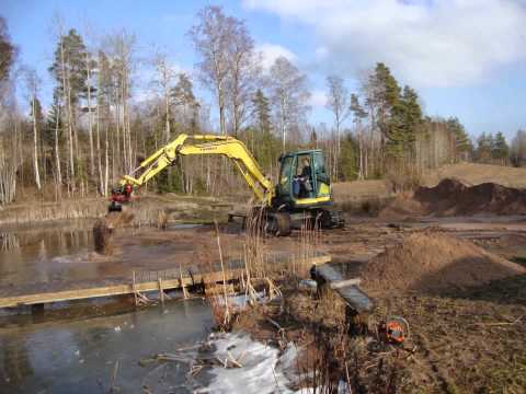 Kisse ja kaivinkone!