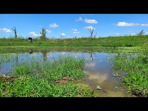 Situação crítica: barreiros estão secando aqui no Agreste de pe (EP.8)