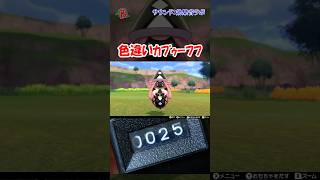 【#ポケモン剣盾】色違いカプゥーフフを見つけた  #shorts