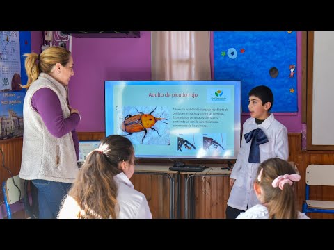 Alumnos de escuela rural de Tala construyeron dispositivo para detectar Picudo Rojo en palmeras