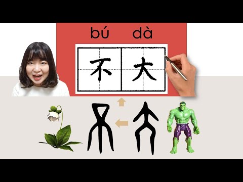 不大/buda/(not very)How to Pronounce/Say/Write Chinese Vocabulary/Character/Radical