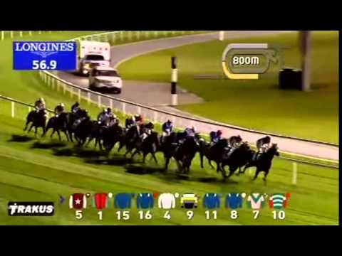 15.01.2015 Meydan (Dubai/UAE) 7.Race Mina Rashid - Handicap  1.600 m