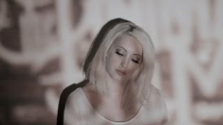 The Animal In Me - "Chasing Dreams" (Official Music Video)