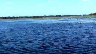 preview picture of video 'Air boating on the Tsala Apopka lake System in Inverness, Fl in full HD.mp4'