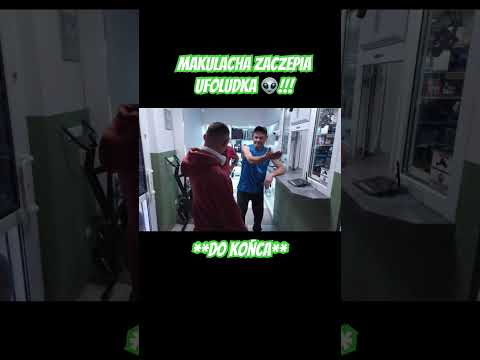 Makulacha chyba chce zawalczyć🤣 #ufoludek #dalton #lombard #polska #drezdenko @PanzLombardu #fun