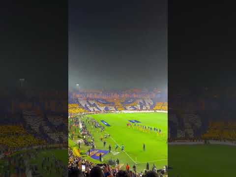 "Vaya #tifo por parte de la hinchada de los #tigres #uanl #mexico #monterrey #futbol" Barra: Libres y Lokos &bull; Club: Tigres