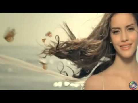 Po tenkých křídlech motýla ƸӜƷ