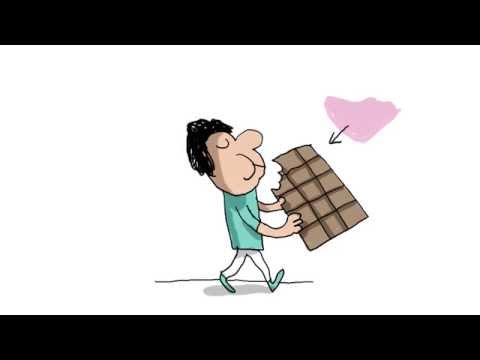 Comment fabrique-t-on du chocolat ? - 1 jour, 1 question