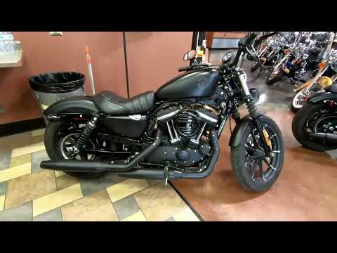 2019 Harley-Davidson Iron 883™ in Mauston, Wisconsin - Video 1