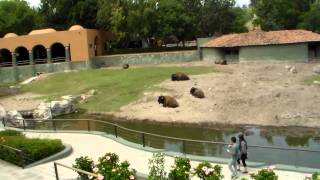 preview picture of video 'Guadalajara y el Zoológico Junto a la Barranca de Huentitan'