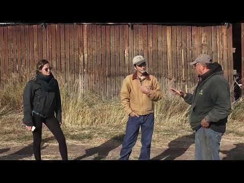 Coexistența funcționează — Băile Tușnad