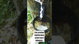 Download lagu #petani#karet#short mp3