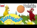 Teletubisie Po Polsku 55 DOBRA JAKOŚĆ Pełny Odcinek