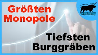 Die größten Monopole & tiefsten Burggräben in einem Video | Investflow Aktienvorstellung