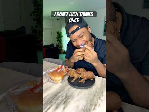 I don’t even thinks once! #funny #puppy #meme #pov #poodle