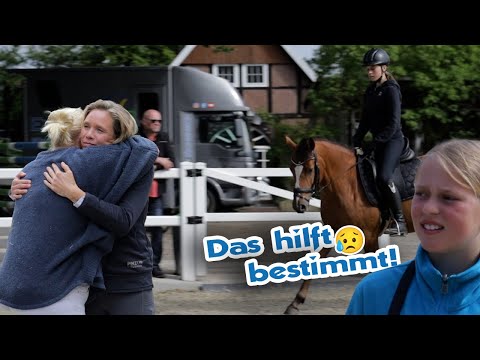 Schwerer Sturz vom Kinderpony – Ponystute reist nur noch den Kopf runter | pferde doku