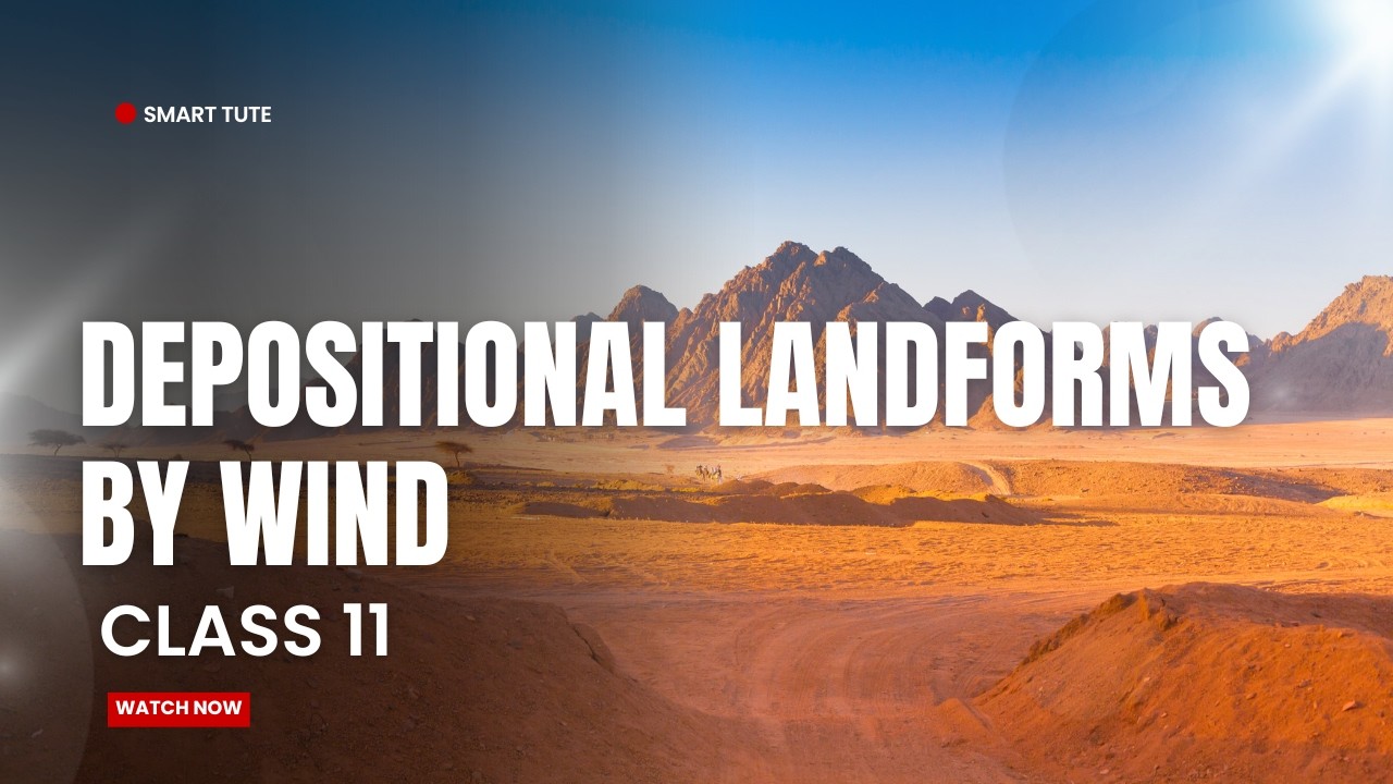 Depositional Landforms by Wind -  Landforms and Their Evolution | Class 11 geography | NCERT