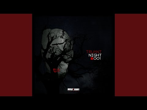 Night (Mic Ostap Remix)