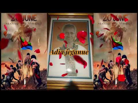 Eritrean  Military Day 2020