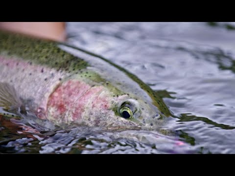 Fishing BC Presents: Off the Beaten Path Fishing Adventure in Tofino