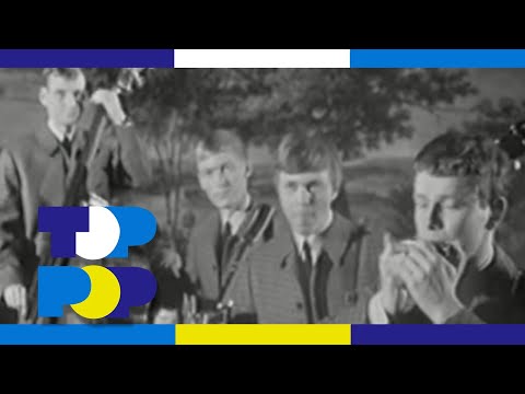 Hootenanny Singers - Ft. Björn Ulvaeus - I lunden grona • TopPop